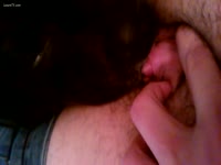 Bestiality Porn - Horny bushy floozy gives the mutt a smack